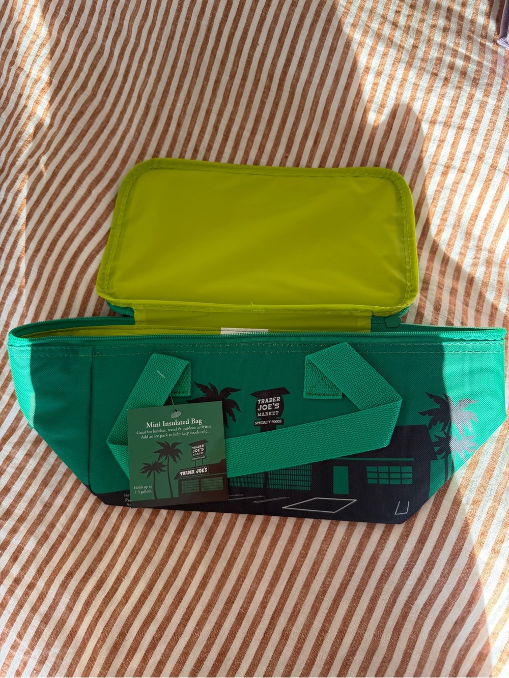 Trader Joe's Green Mini Insulated Tote Bag